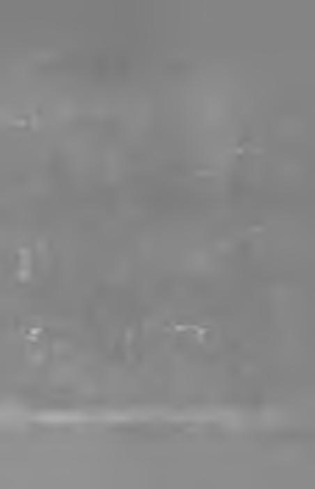 ROZDZIAŁ 5 Teologia wyzwolenia wobec biednych Maria Kogutowska Teologia wyzwolenia narodziła się w katolicyzmie Ameryki Łacińskiej w latach 1960-1970, na tle refleksji moralnej nad cierpieniem