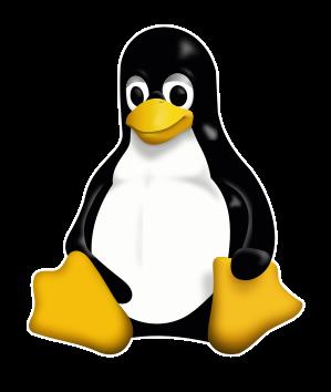 Wstęp do użytkowania systemu operacyjnego LINUX