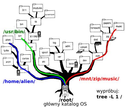 Hierarchiczny system plików Magdalena Kuich (Uniwersystet