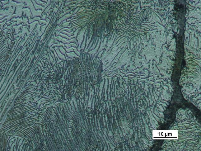 Mikrostruktura żeliwa uzyskana po odlewaniu z użyciem kształtki eksperymentalnej #2, powiększenie: 100, Fig. 12 The cast iron microstructures obtained with the use of experimental shape #2, mag.