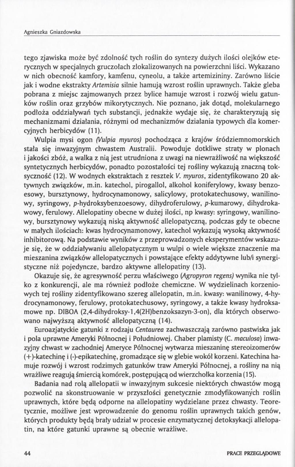 Agnieszka Gniazdowska tego zjawiska może być zdolność tych roślin do syntezy dużych ilości olejków eterycznych w specjalnych gruczołach zlokalizowanych na powierzchni liści.