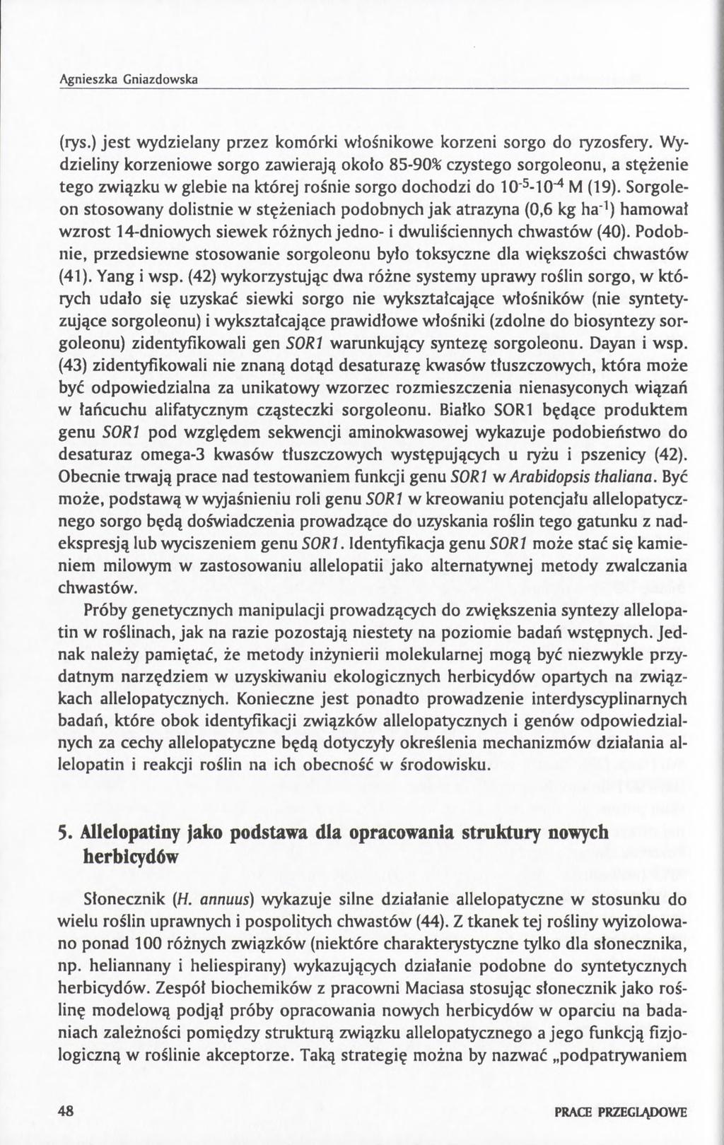 Agnieszka Gniazdowska (rys.) jest wydzielany przez komórki włośnikowe korzeni sorgo do ryzosfery.