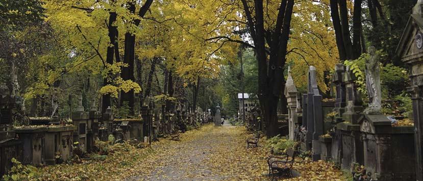 Ścieżkami wspomnień Magdalena Langer tradycji polskiej cmentarz jest miejscem szczególnym, podobnie jak i wy- W jątkowa jest cześć oddawana przez Polaków własnym przodkom, niespotykana nigdzie na