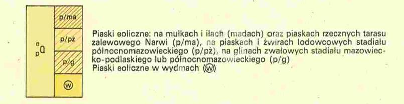 ark. 333 Ostrołęka, 2010 r.) warunki podłoża budowlanego w rejonie opracowania są korzystne dla posadowienia budynków.