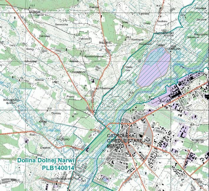 Cele ochrony środowiska ustanowione na szczeblu międzynarodowym, wspólnotowym i krajowym, istotne z punktu widzenia projektowanego Planu Cele ochrony środowiska ustanowione na szczeblu