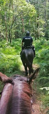 Policjanci Wydziału Ruchu Drogowego zatrzymali w sumie trzech pijanych kierowców. Pierwszy (63-letni tyszanin) wpadł w ręce stróżów prawa jadąc ul. Beskidzką i miał w wydychanym powietrzu 0.86 mg/l.
