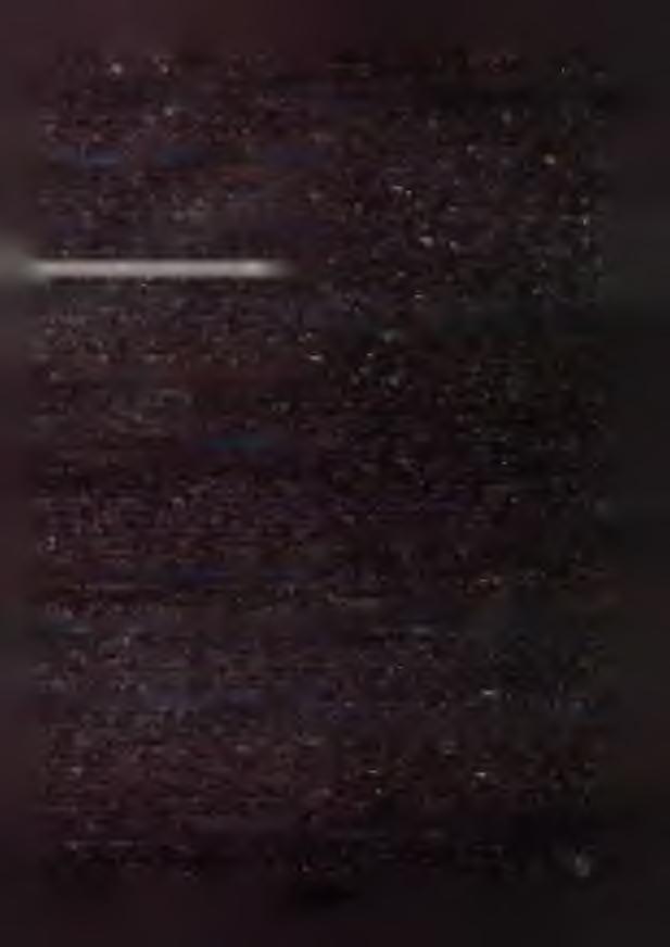 madzenia akcjonarjuszów w dniu 10 listopada 1928 r., kapitał zakładowy określony został na zł 5,000.000, R, H, B I 161: Biuro Reklamowe Era, Spółka z ograniczoną odpowiedzialnością" w Warszawie.