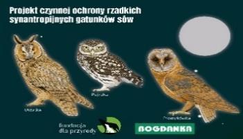 CSR Zagadnienia społeczne Inwestowanie w edukację z zakresu zrównoważonego rozwoju ŁęcznaLAB to kontynuacja udanej współpracy z Gminą Łęczna i Fundacją Krajobrazy, w ramach której, w ścisłej