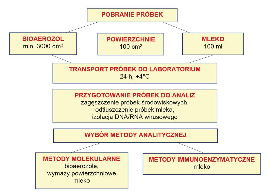 Rysunek 4.