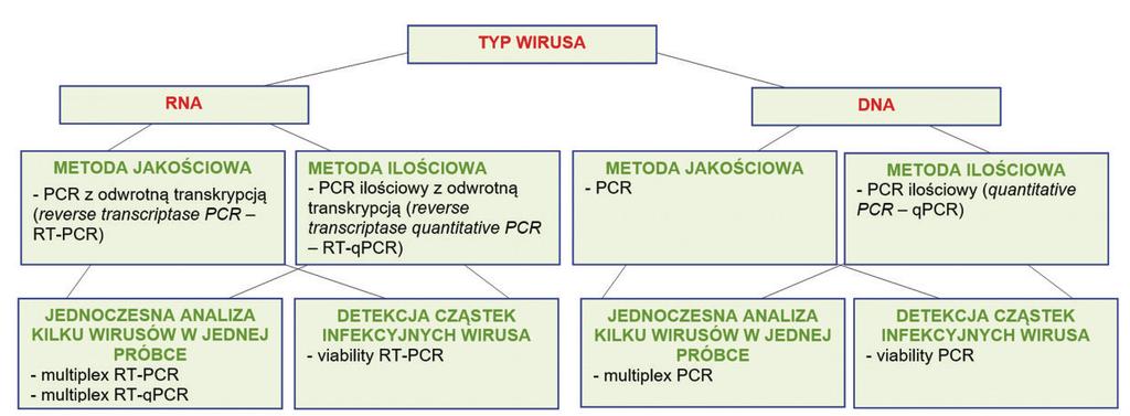 22 Rysunek 5.