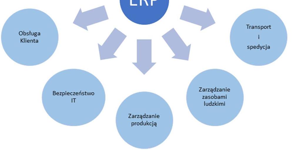 szczegółową analizę należności i zobowiązań, sprawny proces konsolidacji danych, ewidencję środków trwałych, zarządzanie wynikami działu sprzedaży i sprawne porównywanie z prognozami śledzenie