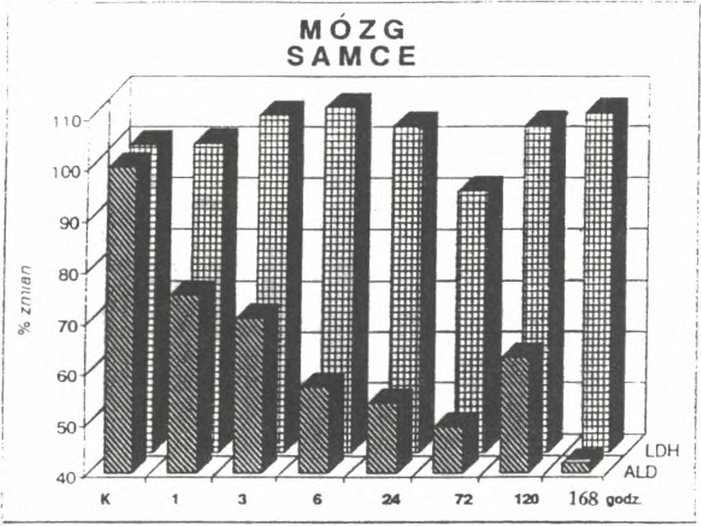 24, 72, 120 i 168 godzin od podania kwasu kainowego Ryc. 6.