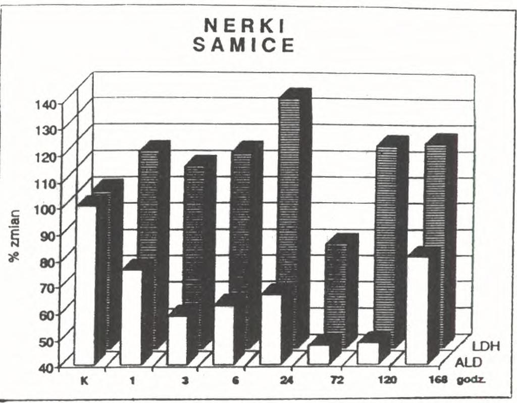 wartości kontrolnych (K ) w homogenatach nerek samców