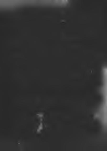 Nieoczekiwanie dnia 1 sierpnia 1939 r. ks. kpt. A. H. Figaszewski zmarł w szpitalu w Warszawie, po operacji wyrostka robaczkowego, w wieku zaledwie 39 lat. Pogrzeb z udziałem m.in. ks. bp. J.