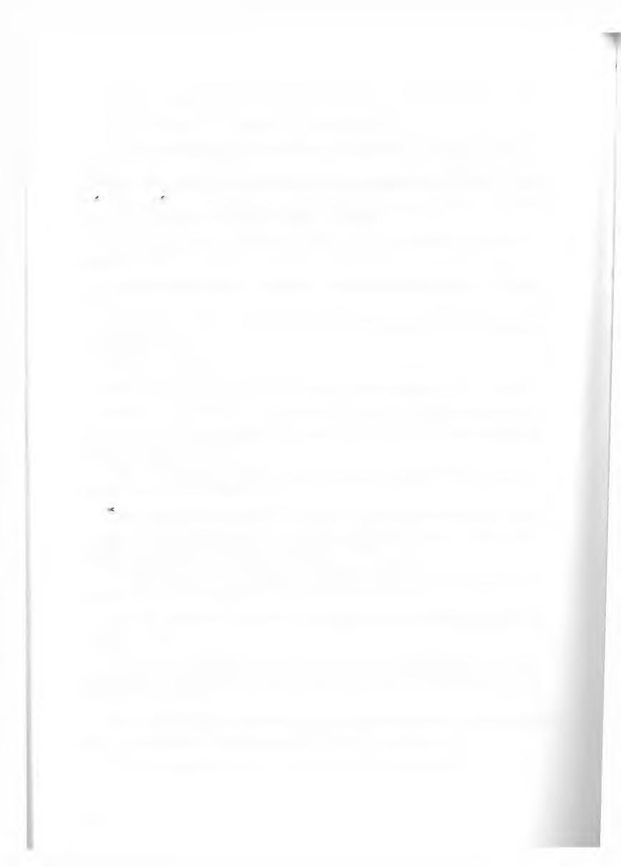 95H. Pruefer, Wspomnienie, Poseł Ewangelicki Londyn nr 5-6/95, s. 13-14. 96Printed by J. and J. Gray, Edinburgh, Scotland.