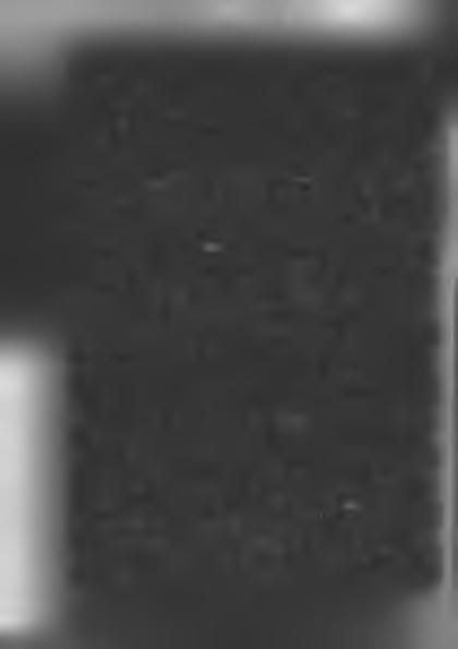 Duszpasterstwo ewangelickie w okręgu korpusu otaczało opieką także żołnierzy Korpusu Ochrony Pogranicza (KOP), stacjonujących w odległych garnizonach. W 1925 r.