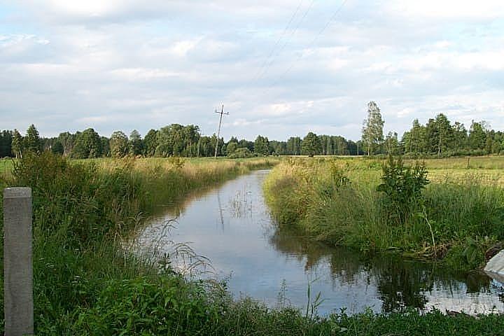 Gmina Wąsewo znajduje się w dorzeczu Narwi, w widłach jej dopływów rzek: