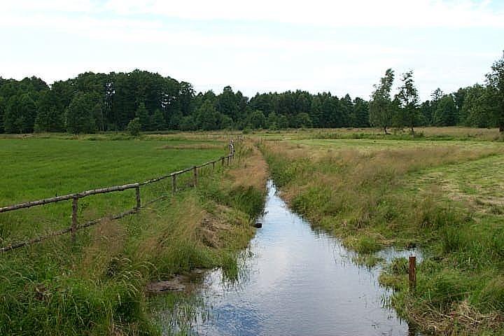 Środkiem gminy przybiegają dwa działy wodne oddzielające zlewnie rzek: Orz,