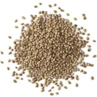 LENTILS GRÜNE LINSEN GORCZYCA MUSTARD