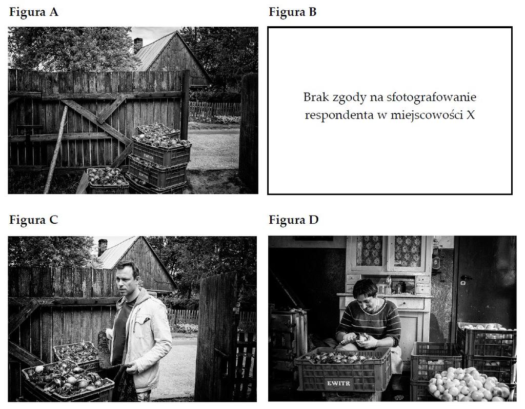 Fotografia socjologiczna w kierunku reportażu dialogicznego obieracza cebuli (fig. B).