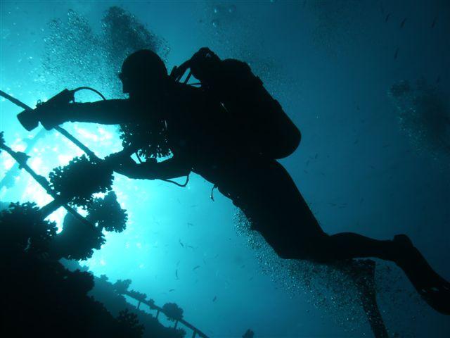 Nurkowanie głębokie: jeśli 30 m to dla Ciebie zbyt mało, zapraszamy do osiągnięcia limitu maksymalnego dla nurkowao rekreacyjnych 40 m.