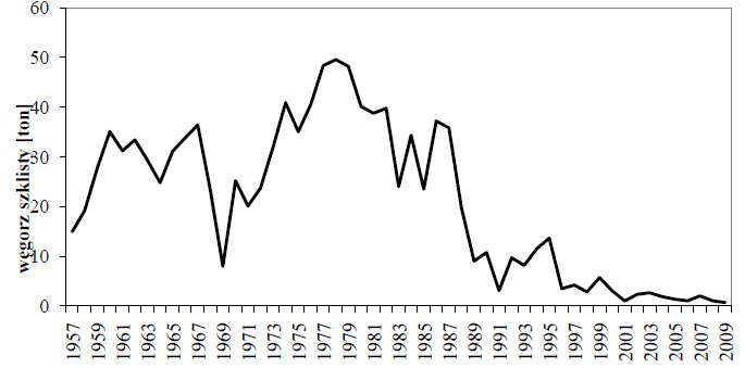WIADOMOŒCI RYBACKIE Rys. 3. Zarybienia wód śródlądowych i przybrzeżnych węgorzem szklistym (w tonach) w Europie w latach 1957-2009 (dane: WGEEL 2009) Rys. 4.