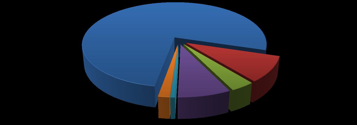 Kolejnym najczęściej wymienianym celem były odwiedziny u krewnych/znajomych (23%), oraz zwiedzanie (), wyjazd zdrowotny (4%) 17 2010 rok, pod względem wyboru celu podróży nie różnił się zbytnio od