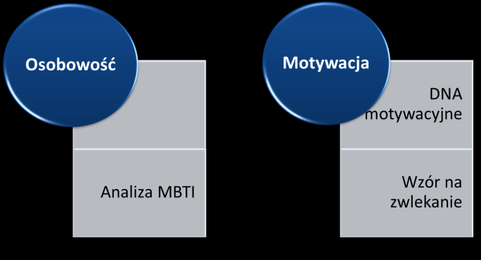 Strona5 Analizowanych jest sześć szczegółowych obszarów diagnozy, gdyż według zasady Vilfredo Pareto: tylko 20 % najbardziej blokujących osiąganie sukcesu czynników przeważa o 80 % efektów, zaś