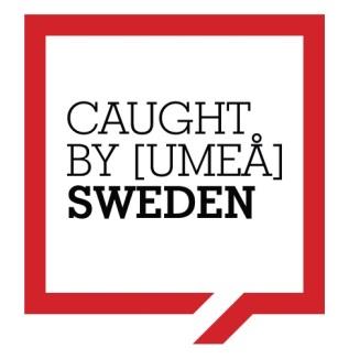Artists Caught by [Umeå] Warunki udziału w konkursie Uwaga! Do poniższego dokumentu Artists Caught by [Umeå] Warunki udziału w konkursie wprowadzone zostały dwie istotne zmiany: 1.
