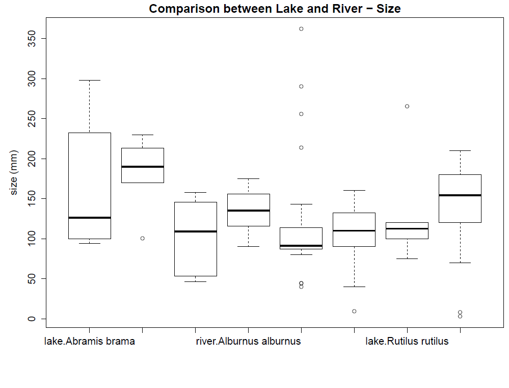 W celu porównania jeziora z rzeką rozpatrzono występowanie A.brama, A. alburnus, P. fluviatilis, and R. rutilus.