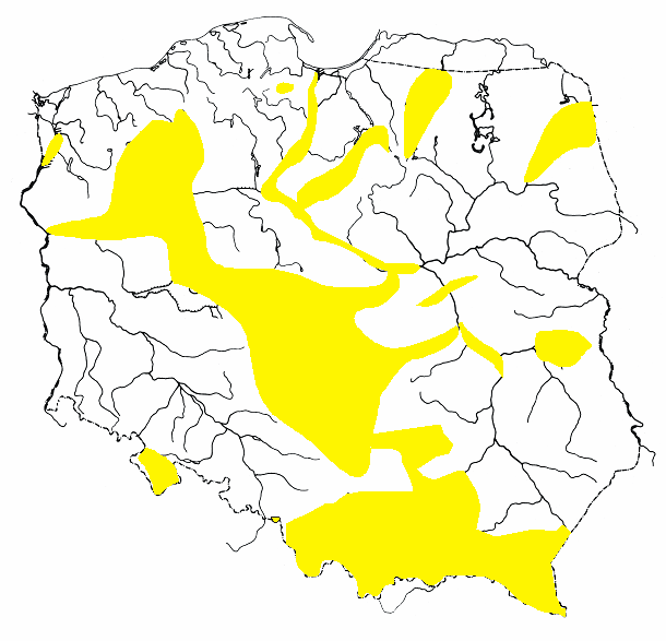 24 Andrzej Witkowski, Jan Kotusz 1. WSTĘP Przez wiele powojennych lat stan poznania rybostanów naszych rzek był znikomy. W 1988 roku Profesor T.