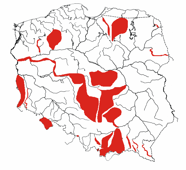 Ichtofaunistyczne badania polskich rzek 29 Rys. 5. Rzeki i systemy rzeczne, w których prowadzono ichtiologiczne badania monitoringowe. Fig. 5. Rivers and river basins in which the ichthyological monitoring was conducted.