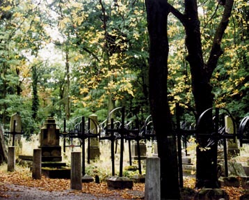 I. Franki (przed wojną był to Park Jezuicki). Lwów zresztą opływa w zieleń. Oprócz wielu innych na uwagę zasługuje Stryjski Park.