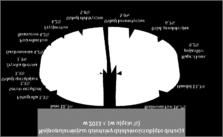 BIZNES Ilustracja poniżej prezentuje procentowy udział poszczególnych branż z pośród wszystkich