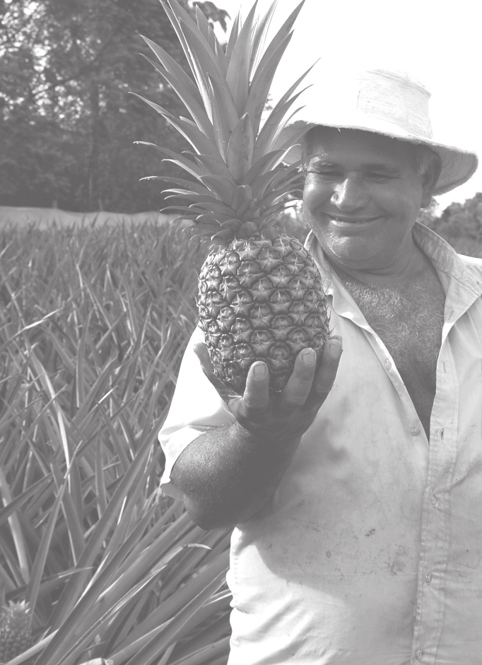 Louis Fernando jest członkiem kostarykańskiej spółdzielni rolniczej Agro-Norte, która funkcjonuje według zasad Sprawiedliwego Handlu i zrzesza ok. 150 drobnych rolników.
