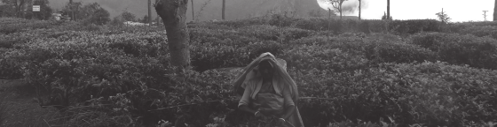 Fot. Maria Huma Sellakumari Sinnappa (imię i nazwisko zmienione) pracuje jako zbieraczka herbaty na plantacji Greenfield Tea Estate położonej w pobliżu miasteczka Haputale, w południowej części Sri