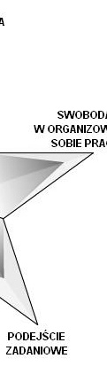 DIAGRAMY SUWAKOWE PREZENTUJĄCE WYNIKI CZĘŚCI 2 ANALIZY BADANIA MOTYWACYJNEGO Analiza kompozycji nastawień badanej osoby wobec pracy indywidualnej, pracy w ze- jest spole/grupie oraz pracy pod