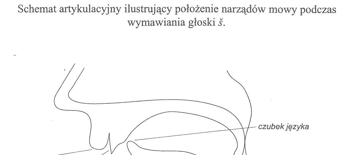 Aby uzyskać poprawne brzmienie głoski SZ układamy odpowiednio język i wargi i naśladujemy szum wiatru.