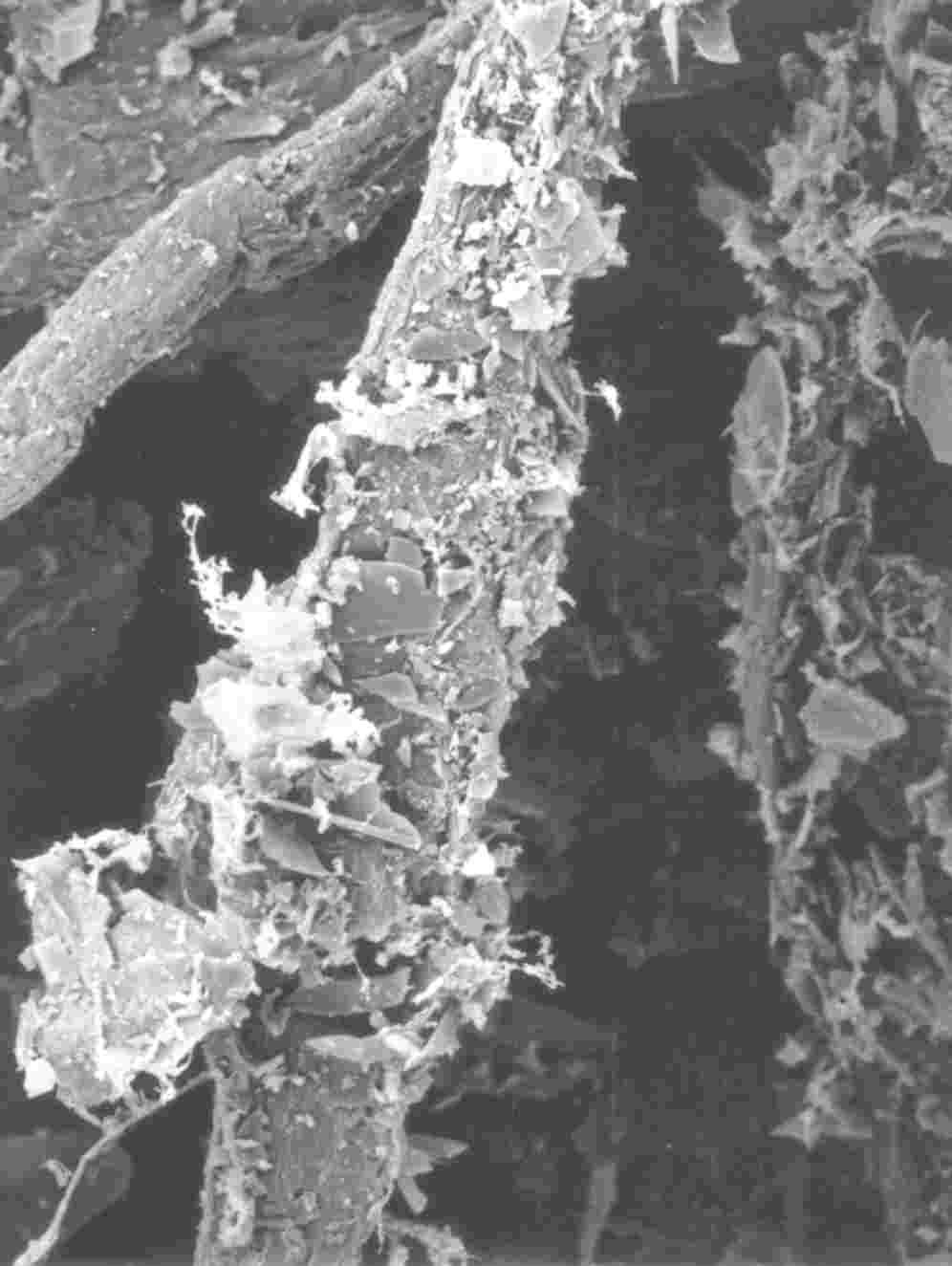 Better Lepsze results yniki in reducing redukcji zmętnień turbidity przy użyciu hen using Loer increase of counterpressure hen Mniejszy zrost using przeciciśnienia przy użyciu Turbidity in EBC