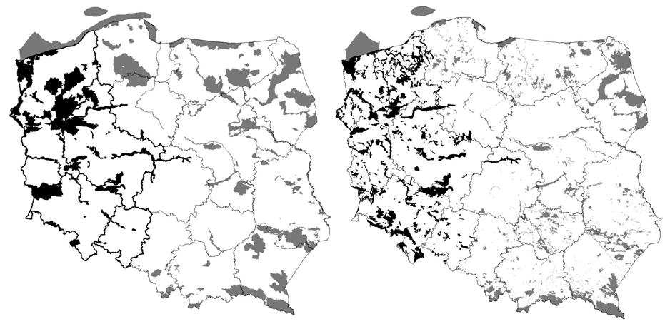 znajduje się na terenie Polski Zachodniej (LKP Puszcze Szczecińskie, LKP Puszcza Notecka, LKP Bory Lubuskie, LKP Lasy Rychtalskie i LKP Sudety Zachodnie).