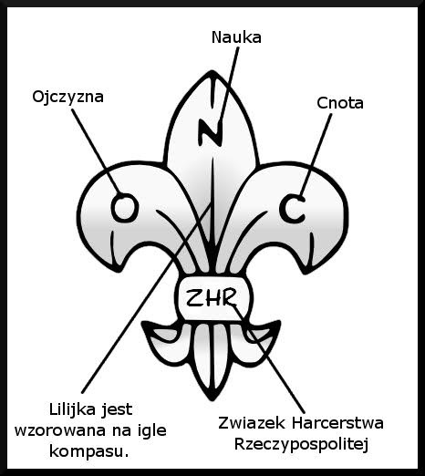 9. Funkcje podzastępowy - szary sznur z brązową beczką spod ramienia, zastępowy-brązowy sznur