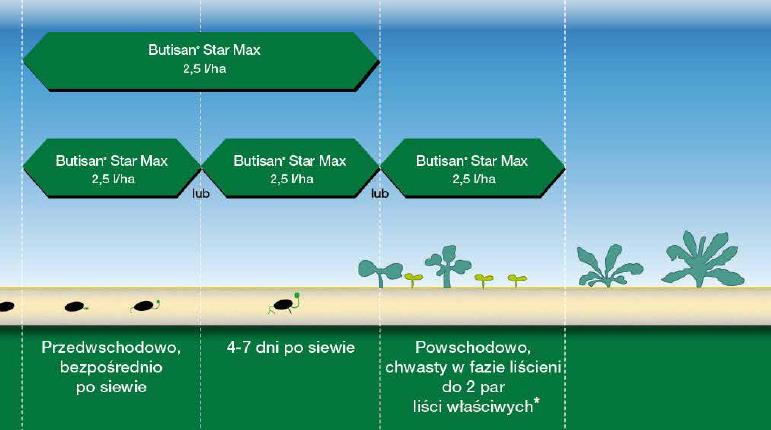 Na podstawie wieloletnich doświadczeń rekomendujemy pierwsze dwa terminy stosowania: bezpośrednio po siewie rzepaku, na starannie uprawioną glebę wcześnie powschodowo, 4-7 dni po siewie Termin