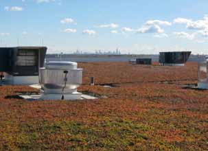 Zielone dachy na lotnisku O Hare Chicago (Stany Zjednoczone), w realizacji od 2006 r. Projekt zachęca do instalacji ogrodów na dachach obiektów lotniskowych.