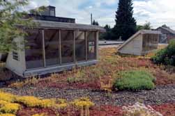 Mechanizmy finansowe gospodarowania wodami opadowymi w miastach Rys historyczny programu 1996 wybudowano pierwszy zielony dach w Portland na dachu prywatnego garażu; 1999 zielone dachy uznano