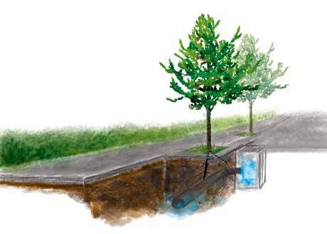 Jak bezpiecznie zatrzymać wodę opadową w mieście? Narzędzia techniczne Zadrzewione muldy i rigole Rozwiązaniem, integrującym retencję podziemną z wysoką zielenią (np.