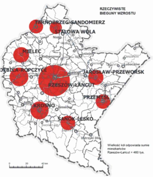 Rysunek 5 Rzeczywiste i potencjalne uwarunkowania rozwoju Tarnobrzega jako bieguna wzrostu