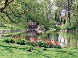 charakter wybranych terenów np. prawego brzegu Wis y. dost pniajàc je mieszkaƒcom do spacerów i zabaw dbaç b dziemy szczególnie o zachowanie ich walorów krajobrazowych.