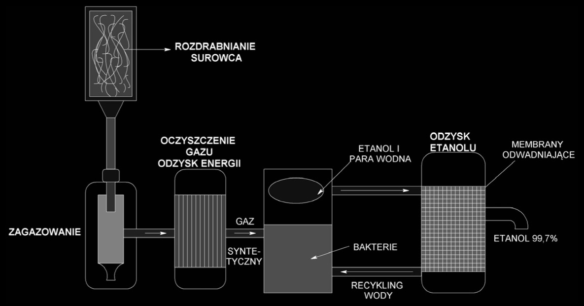 Grzegorz Kłosowski, Dorota Macko, Dawid Mikulski Proces ten jest wydajny, jednak problem stanowi wyeliminowanie kwasu siarkowego z roztworu cukrów, ponieważ działa on hamująco na proces fermentacji.