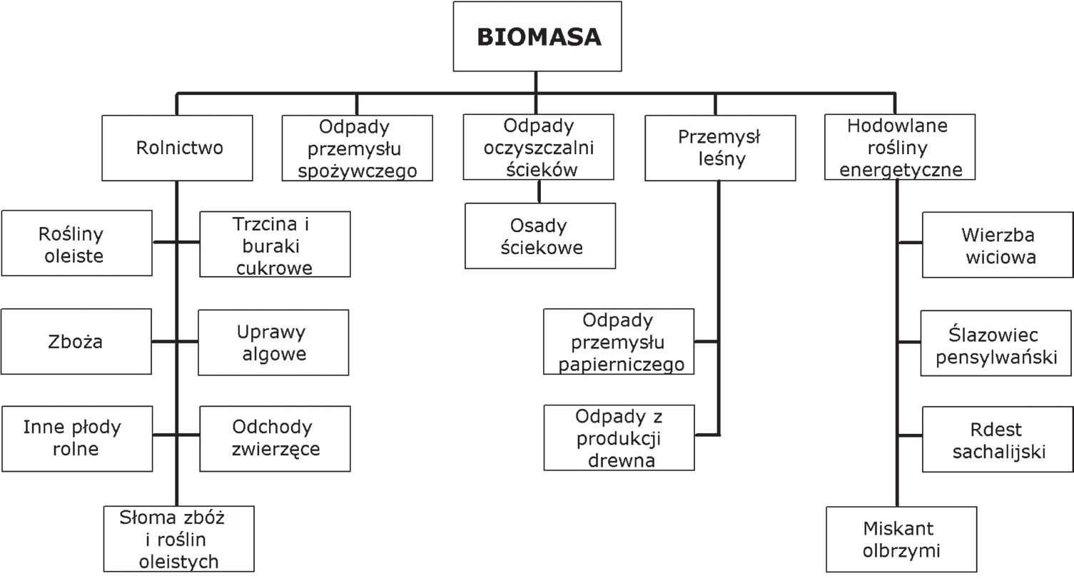 Grzegorz Kłosowski, Dorota Macko, Dawid Mikulski plarnianych stały się bardziej rygorystyczne, przez co zaczęto większą uwagę koncentrować na wykorzystaniu biopaliw [Czaja, Florek 2005, Demirbas