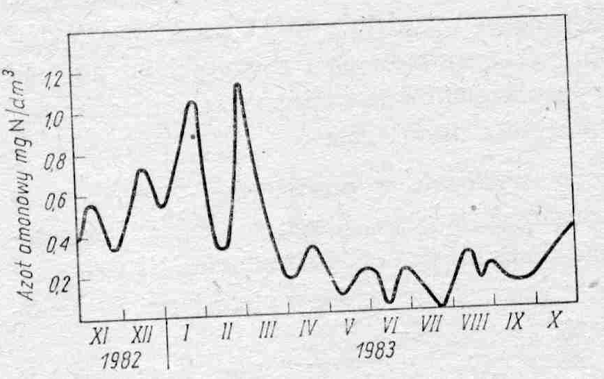 Rys.1. Zmiany zawartości amoniaku w wodzie rzeki Wisły na przestrzeni roku. W okresach wyższej temperatury amoniak jest zużywany przez rośliny oraz podczas procesu nitryfikacji.